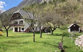 Roja House